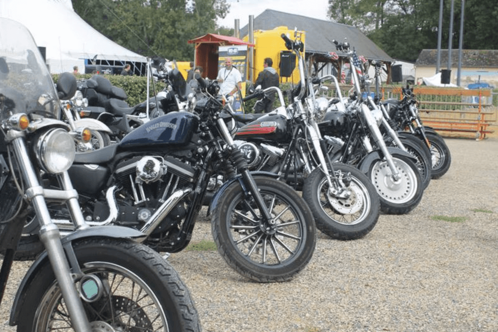 Belles motos Harley Davidson alignées